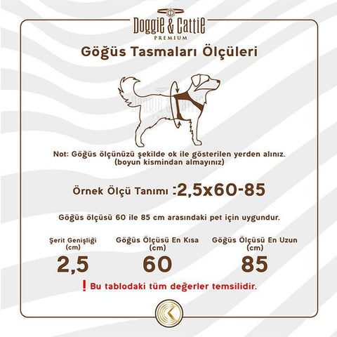 Cattie Havalı Dokuma Kedi Göğüs ve Gezdirme Takımı Medium Mavi 1x25-35 Cm