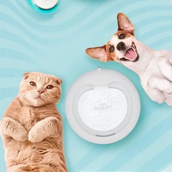 Cattie Kedi ve Köpek Klasik Model Arıtmalı Su Pınarı Yeşil 1 w 2.5 Lt