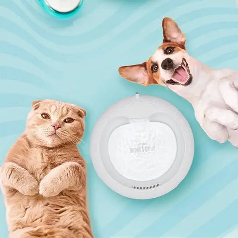 Cattie Kedi ve Köpek Klasik Model Arıtmalı Su Pınarı Yeşil 1 w 2.5 Lt