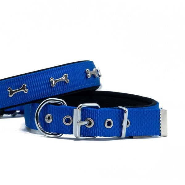 Doggie Comfort Dokuma Kemikli Köpek Boyun Tasması Large Mavi 2.5x42-50 Cm