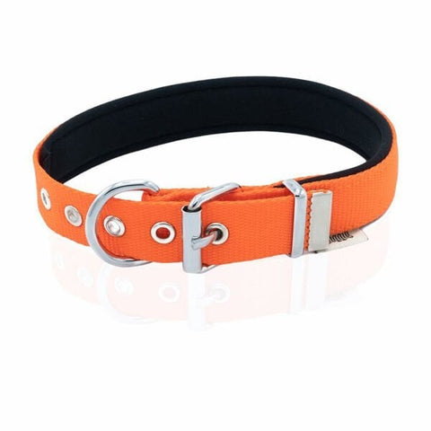 Doggie Comfort Dokuma Kemikli Köpek Boyun Tasması Large Turuncu 2.5x42-50 Cm