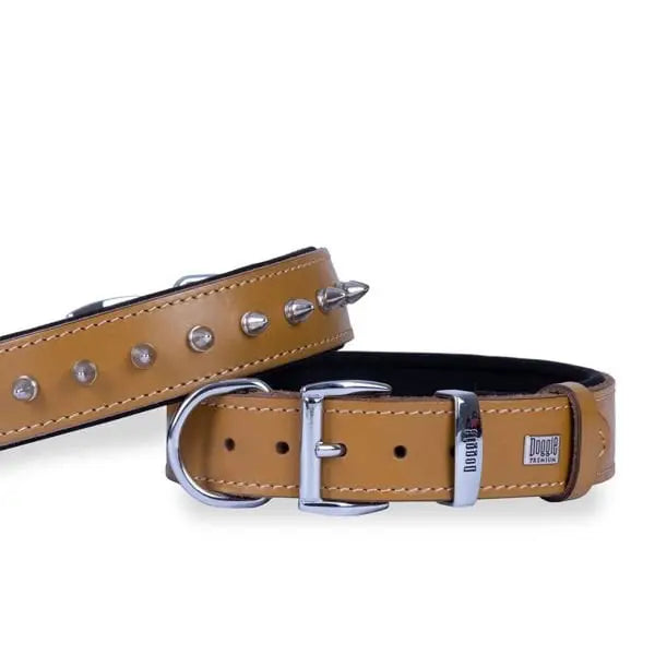 Doggie Comfort Deri çivili Köpek Boyun Tasması Medium Camel 3.5x47-55 Cm