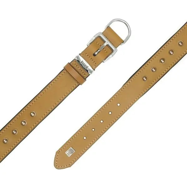 Doggie Comfort Deri çivili Köpek Boyun Tasması Medium Camel 3.5x47-55 Cm