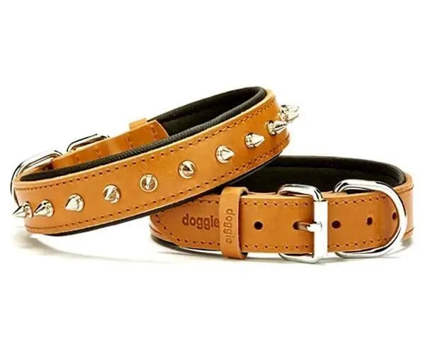 Doggie Comfort Deri çivili Köpek Boyun Tasması Medium Camel 3x42-50 Cm