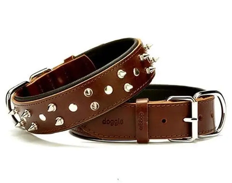 Doggie Comfort Deri çivili Köpek Boyun Tasması Small Kahverengi 4x47-55 Cm