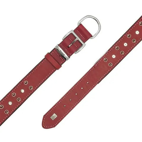 Doggie Comfort Deri çivili Köpek Boyun Tasması Small Kırmızı 4x47-55 Cm