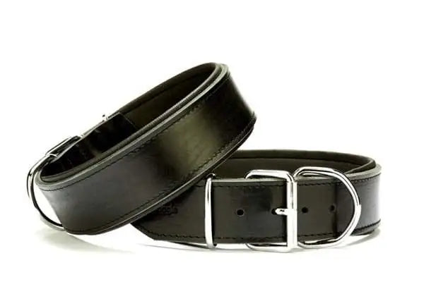 Doggie Dayanıklı Deri Köpek Boyun Tasması Medium Siyah 5x55-65 Cm