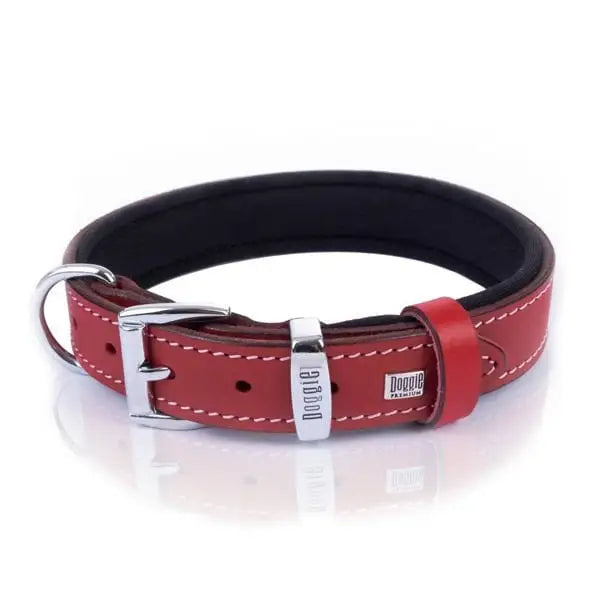 Doggie Konfor Deri Köpek Boyun Tasması Medium Kırmızı 2.5x37 45 Cm