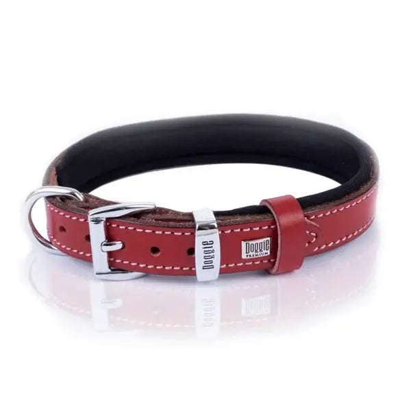 Doggie Konfor Deri Köpek Boyun Tasması Small Kırmızı 2x30-35 Cm
