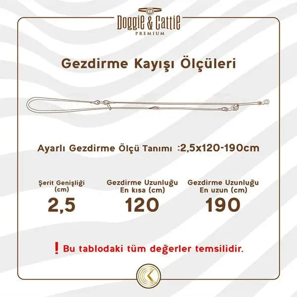 Doggie Yağlı Derili 4 örgülü El Tutmaçsız Köpek Eğitim Gezdirme Kayışı Small Kahverengi 1.1x150 Cm