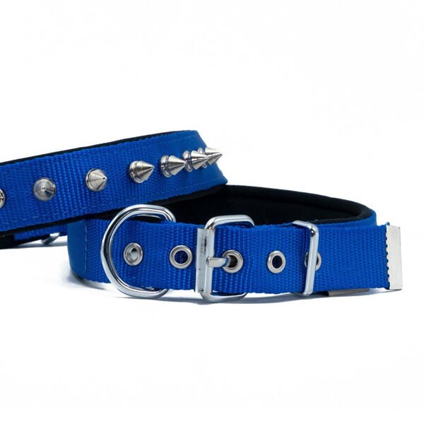 Doggie Comfort Dokuma Çivili Köpek Boyun Tasması Medium Mavi 2.5x37-45 Cm