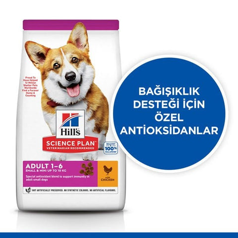 Hills Small  Mini Adult Tavuklu Köpek Maması 6 Kg