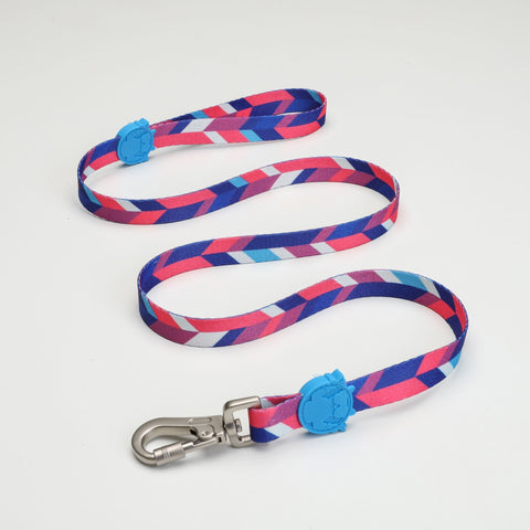 Lindo Dogs Pink Dream Köpek Gezdirme Kayışı Mavi/Pembe Large