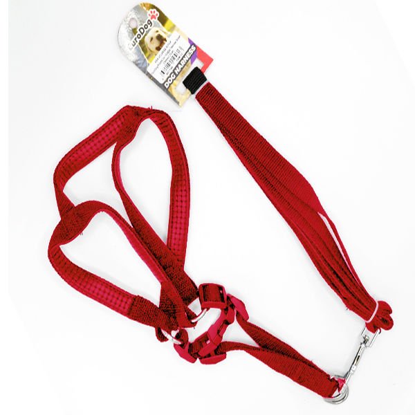 Euro Dog Köpek Uzatma Tasması ve Göğüs Tasması Takımı Kırmızı 15 Mm 120 Cm