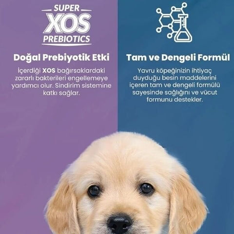 Reflex Plus Kuzu Etli Orta ve Büyük Irk Yavru Köpek Maması 3 Kg