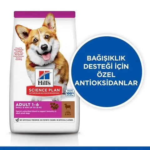 Hills Adult Small küçük Irk Kuzulu Yetişkin Köpek Maması 5 Kg + 1 Kg Hediyeli