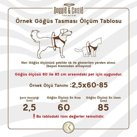 Cattie Havalı Dokuma Kedi Göğüs ve Gezdirme Takımı Large Pembe 1.5x30-40 Cm