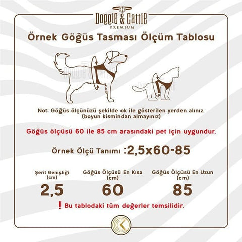 Cattie Havalı Dokuma Kedi Göğüs ve Gezdirme Takımı Small Bej 1x20-30 Cm