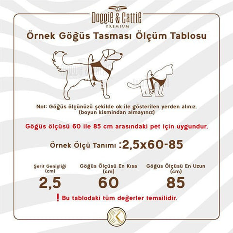 Cattie Havalı Dokuma Kedi Göğüs ve Gezdirme Takımı Medium Sarı 1x25-35 Cm