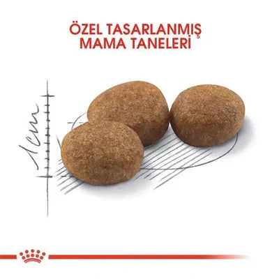 Royal Canin Sterilised 37 Kısırlaştırılmış Kedi Maması 4 kg