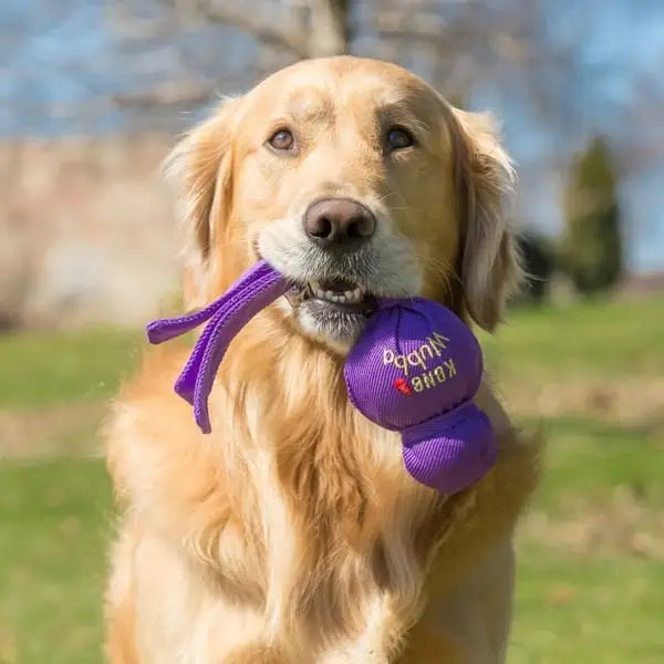 Kong Köpek Wubba Sesli Oyuncak Small 21 Cm