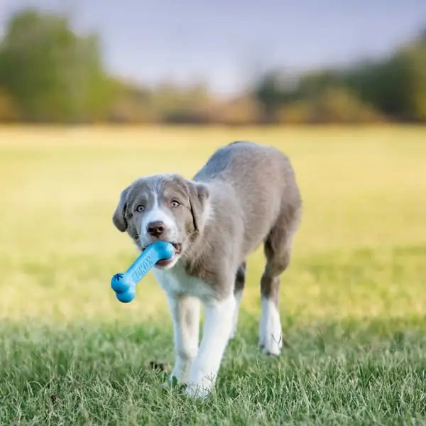 Kong Puppy Yavru Köpek ödül Oyun Topu Medium 8 Cm