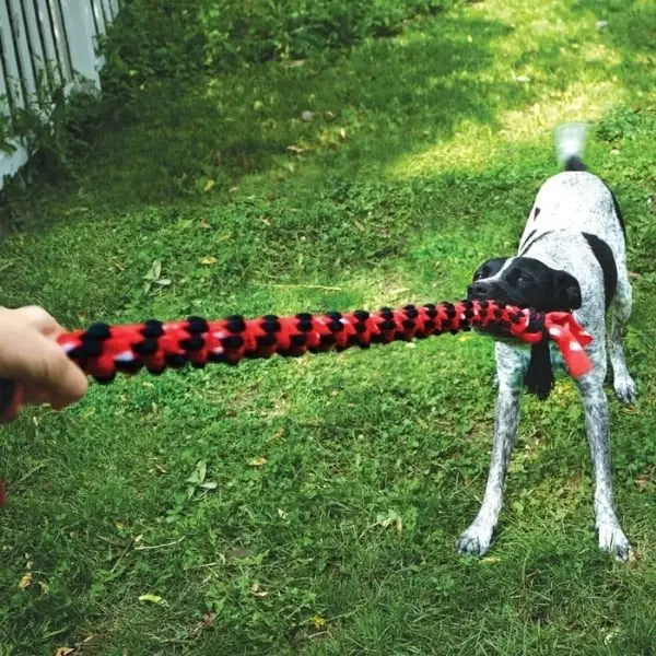 Kong Signature Rope çift Düğümlü İp Köpek Oyuncağı 101 Cm