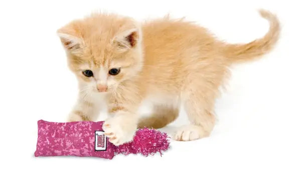 Kong Yavru Kedi Oyuncak Kediotlu Kickeroo 22 Cm