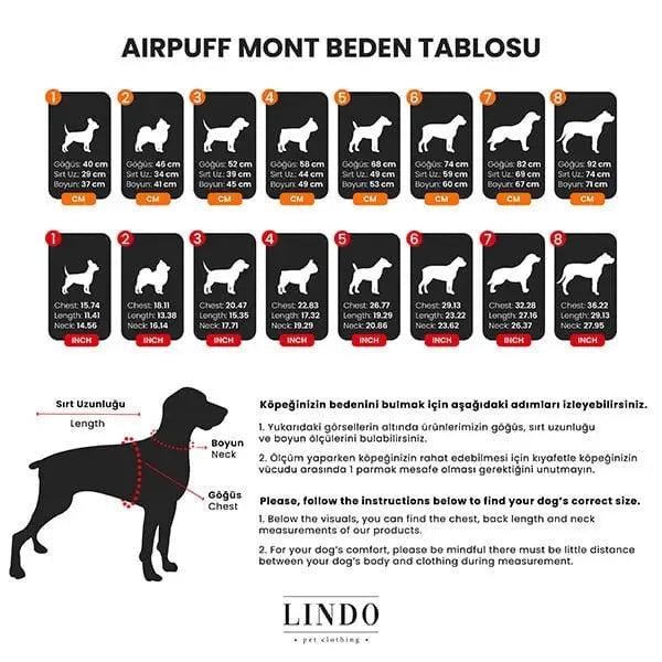 Lindo Dogs Air Puff Stone Köpek Montu Krem Beden 1