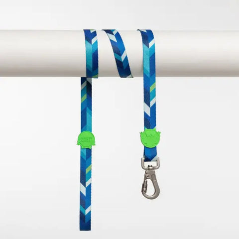 Lindo Dogs Blue Dream Köpek Gezdirme Kayışı Mavi/yeşil Large