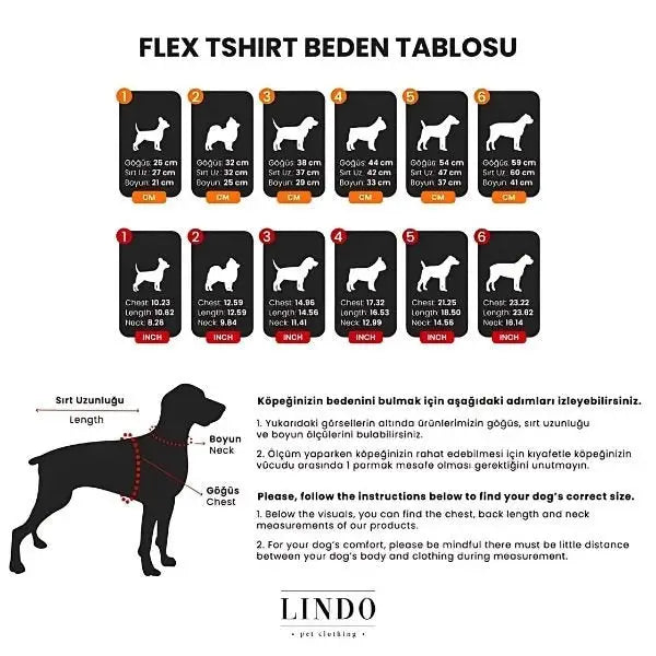 Lindo Dogs Honey Pie Köpek Kıyafeti Tshirt Krem Beden 1