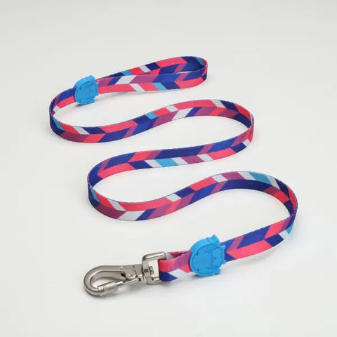 Lindo Dogs Pink Dream Köpek Gezdirme Kayışı Mavi/pembe Large