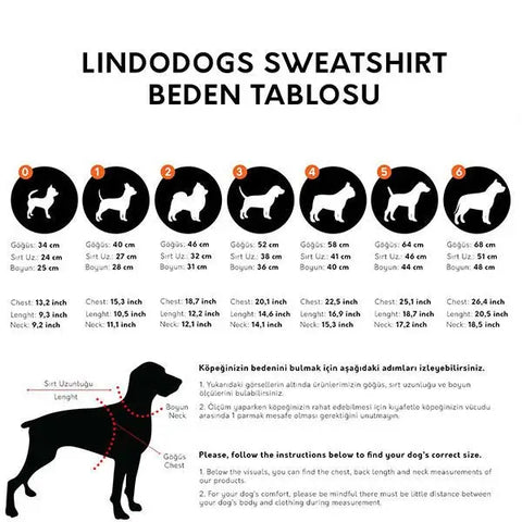 Lindo Jurassic Dog Köpek Sweatshirt Beden 1