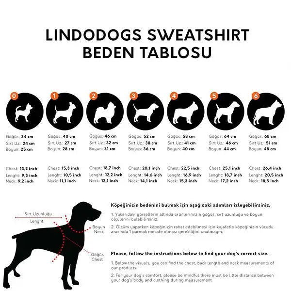 Lindo Jurassic Dog Köpek Sweatshirt Beden 2