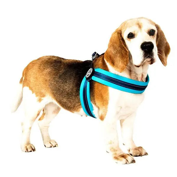 Max & Molly Q-fit Matrix Köpek Göğüs Tasması Xxsmall Kırmızı 31-34 Cm