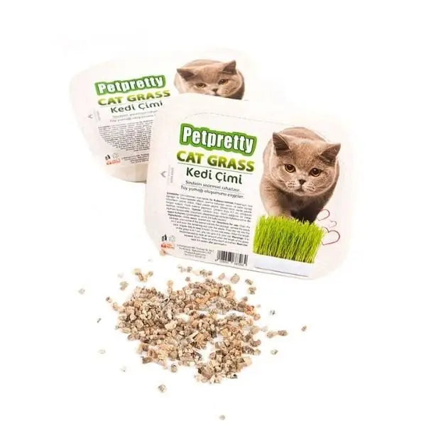 Petpretty Sindirim Sistemi Rahatlatıcı Kedi çimi