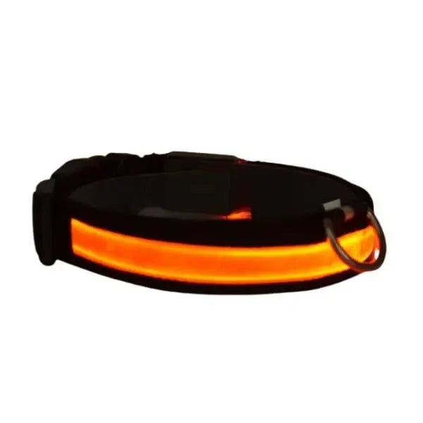 Petzz Işıklı Ayarlanabilir Flaşörlü Kedi ve Köpek Boyun Tasması Kırmızı 35-43 Cm / 2.5