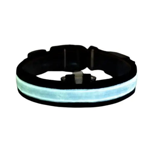 Petzz Işıklı Ayarlanabilir Flaşörlü Kedi ve Köpek Boyun Tasması Mavi 35-43 Cm / 2.5