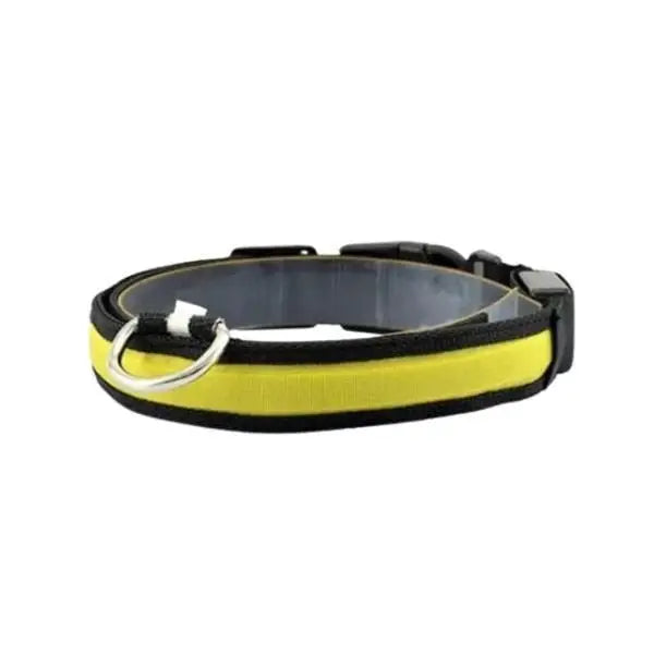 Petzz Işıklı Ayarlanabilir Flaşörlü Kedi ve Köpek Boyun Tasması Sarı 52-60 Cm / 2.5
