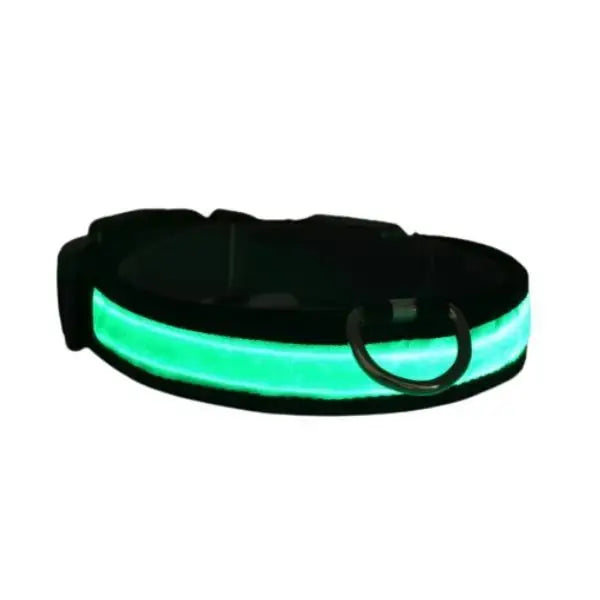 Petzz Işıklı Ayarlanabilir Flaşörlü Kedi ve Köpek Boyun Tasması Yeşil 40-48 Cm / 2.5