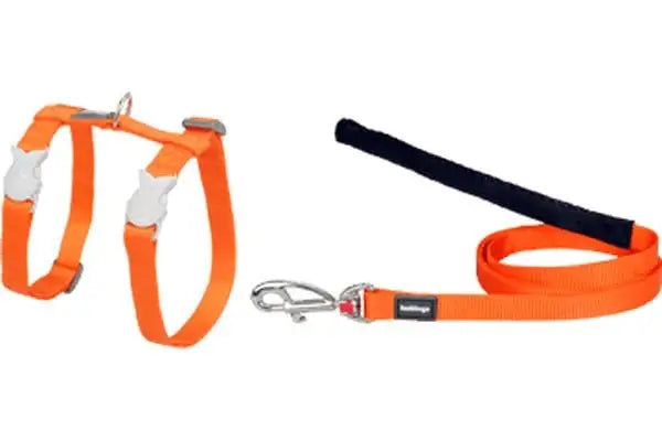 Red Dingo Klasik Kedi Göğüs ve Uzatma Tasması Turuncu Kombo 12 Mm