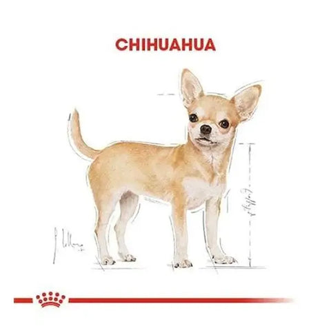 Royal Canin Chihuahua Adult Yetişkin Köpek Maması 1.5 Kg