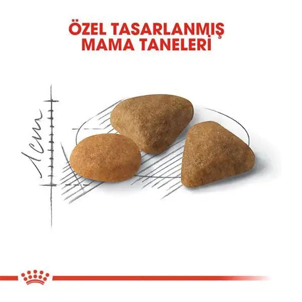 Royal Canin Exigent Savour Seçici Yetişkin Kedi Maması 2 Kg