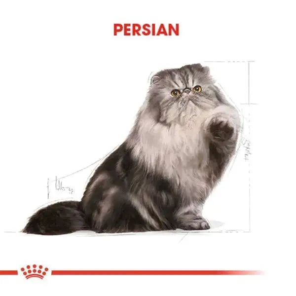 Royal Canin Persian Adult Yetişkin İran Kedisi Maması 2 Kg