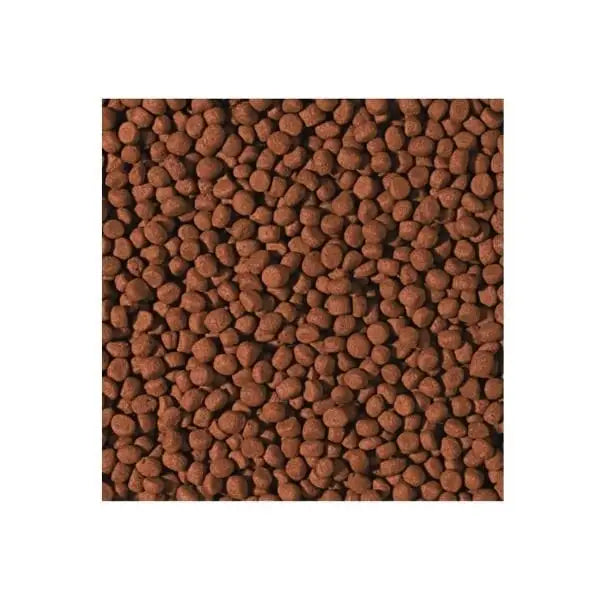 Tropical Cichlid Carnivore Pellet Etobur Balıkları için Renklendirici Balık Yemi Medium 250 Gr