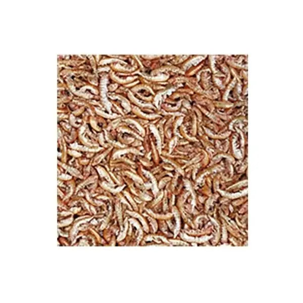 Tropical Gammarus Kurutulmuş Karides Kaplumbağa ve Balık Yemi 1000 Ml 120 Gr