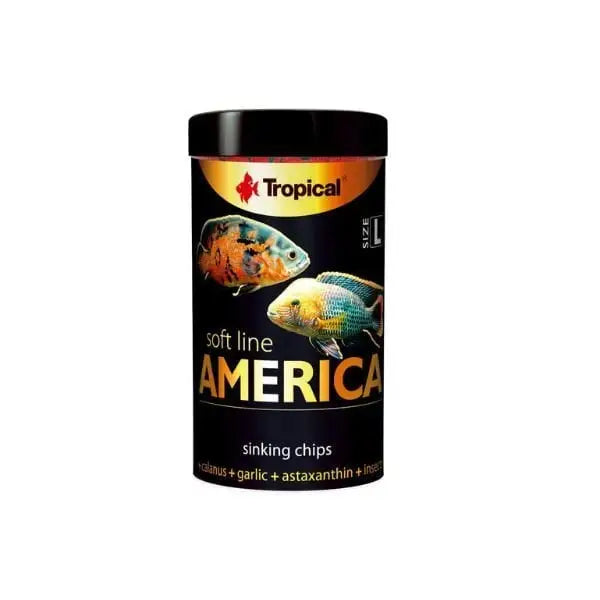 Tropical Softline American Ciklet Cips Balık Yemi Large 100 Ml 52 Gr