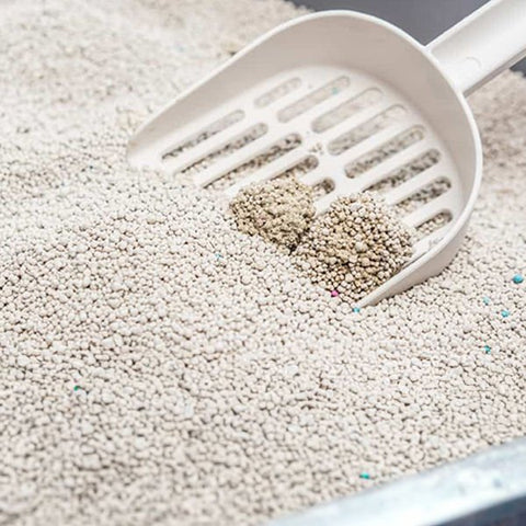 Enjoy Topaklanan Marsilya Sabun Kokulu Bentonit Doğal Kedi Kumu 1 Adet 10 Lt